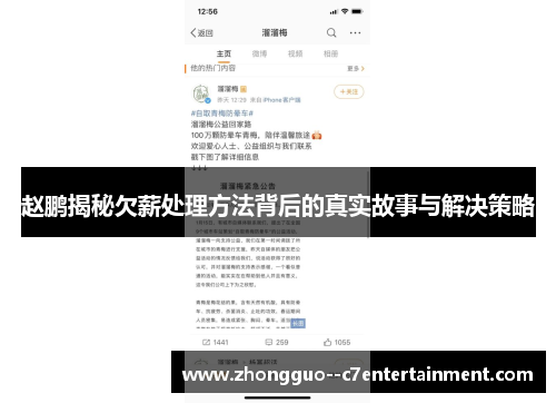 赵鹏揭秘欠薪处理方法背后的真实故事与解决策略 赵鹏揭秘欠薪处理方法背后的真实故事与解决策略